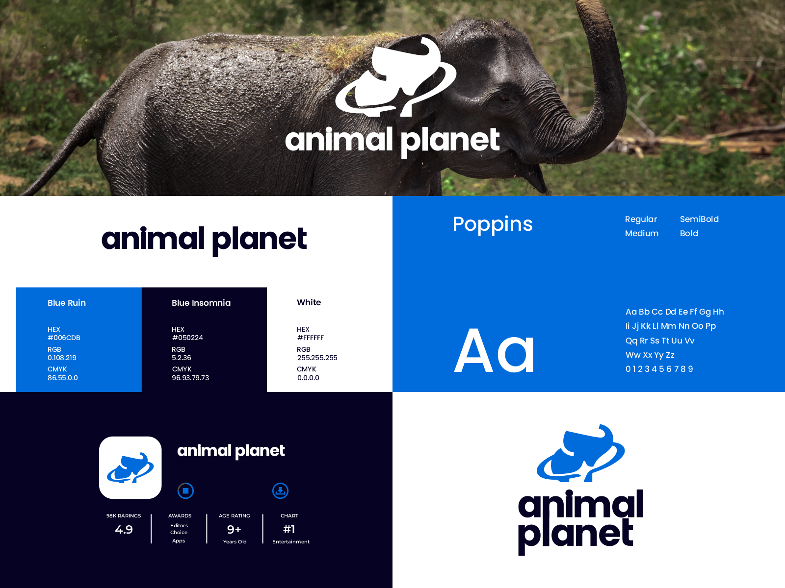 Example of Attractive Logo And Branding